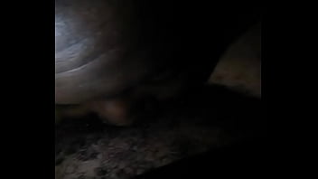 2018 02 03 02 41 03