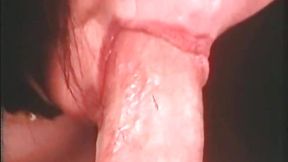 Two retro girls having hairy pusses licked off by handsome dude