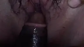 Neighbor's Squirrel Steals Wife's Porn and Gets Naughty
