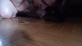 dirty diaper full of piss to lick