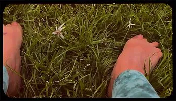 Alysha Newman’s Sensual Feet Play in the Grass – Outdoor Fetish Delight