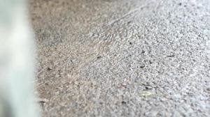 BROMO - Combo - American Darcy Oak enjoys rough nailing