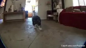 Capri Cavanni Behind The Scenes