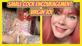 Step-Mommy's Good Boy Small Cock Encouragement and Virgin JOI