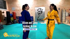 Alison and Samy kicking lesson sparring demolition