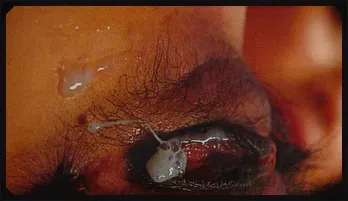 Japanese SakiShimazu in fishnet stockings gets a load inside