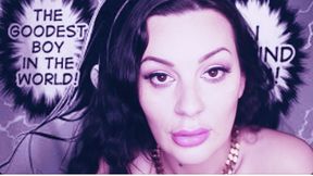 Good Boy Programming