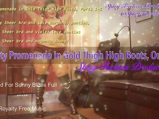 Panty Promenade in Gold Haunch High Boots, Parts 1-three, PREVIEW