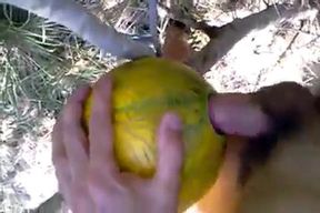 Outdoor Melon Play 2