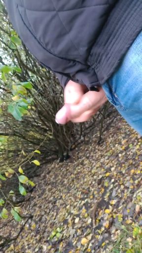 Autumn cum in the forest   Clip 1