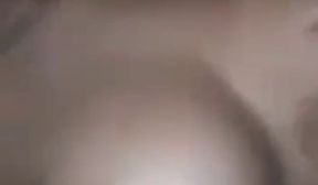 Chibola