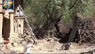 Cholita arrecha me hace el amor en un pajar y quiere tener descendencia , cochabamba bolivia