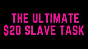 The Ultimate $20 Slave Task