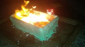 My 2020 Gingerbread Dumpster Fire