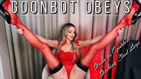 Goon Bot Obeys and Strokes to Goddess' Stocking Clad Legs JOI Gooning Jerk Off Instruction Mistress Emily Marilyn