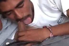 str8 Latino lads trio Some