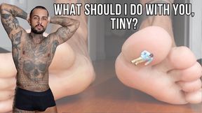 What should I do with you, tiny? - Lalo Cortez