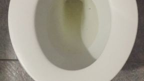 TOILET FULL OF PEE