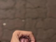 I Got Horny As I Was Walking Home- Jerking Off at the Roadside
