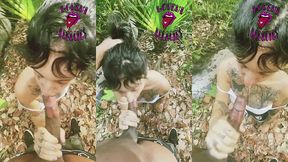 hippie ho333
