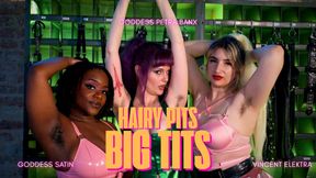 Hairy Pits , BIG TITS | Goddess Satin Goddess Petra Banx Goddess Vincent Elecktra Triple Female Domination Armpit Humiliation Latex Fetish
