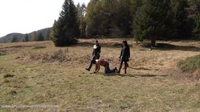 LADY SCARLET - PONYPLAY IN THE MOUNTAINS - PONYPLAY IN MONTAGNA