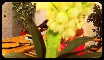 Ultimate Gloryhole Pleasure Experience Viral video