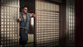 Julia in Japan 7 Julia Got the Shimmering Dragon Flight Right