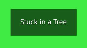 Stuck in a Tree !!