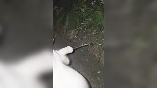 Fragile milky prick urinating pissing outside swallow my pee