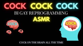 Cock Addict Reprogramming ASMR