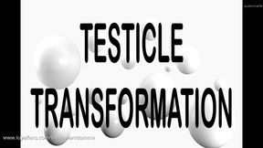 TESTICLE TRANSFORMATION