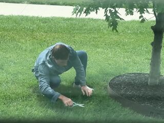 Certified Grass Trimmer