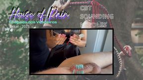 HOUSE OF PAIN - PART II Needles & Sounding