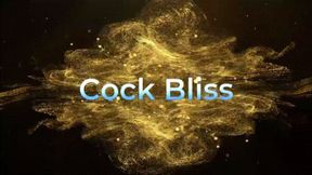 Cock Bliss *HD wmv*