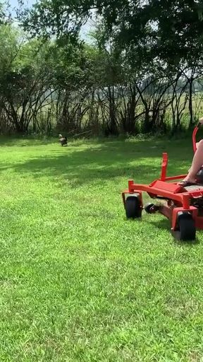 Titties out Riding lawnmower outdoors   Clip 2