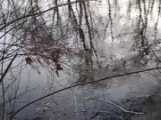 FTM Public Piss