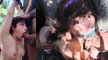 Woods Scene (very rough)