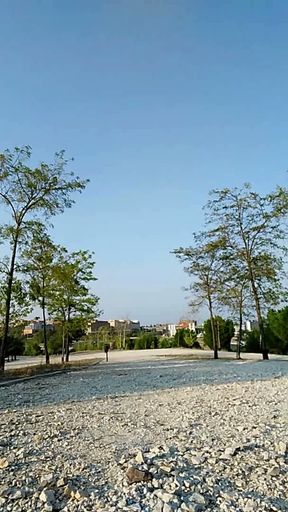 Naked in the park by day