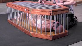 Scumbags - Chapter 3