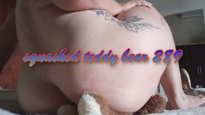 squashed teddy bear 289
