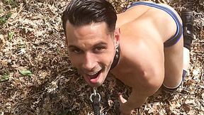 Puppy in the Woods - SayUncle