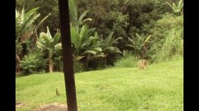 The Trans Community's Love for Big Cock and Anal