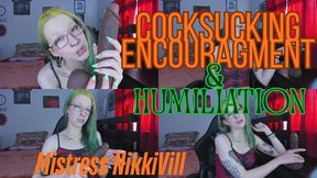 Cock Sucking Encouragement and Humiliation