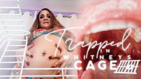 Trapped In Whitney's Cage! - HD MP4 1080p Format