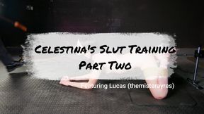 Slut Training Part 2 "Bimboism & You"