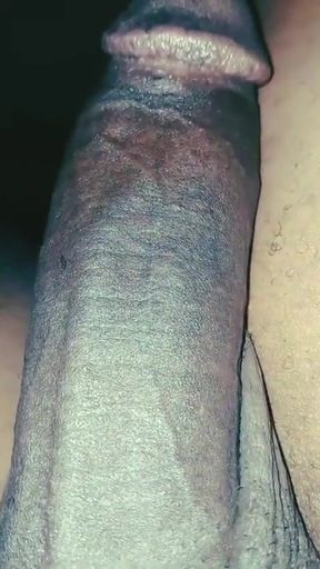 Blackdick