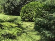 Peeing in the Park