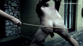A lesson in punishment
