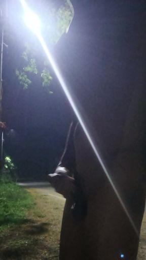 In the middle of the night I took off my clothes and had sex